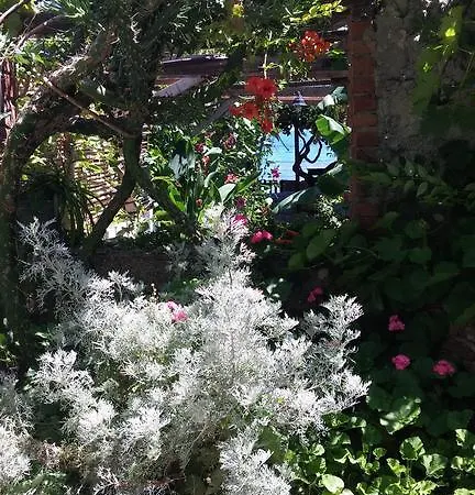 Ergin Karaburun (Izmir)