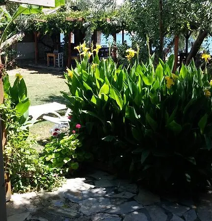 Ergin Karaburun (Izmir)