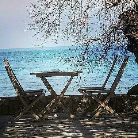 Ergin Konukevi *