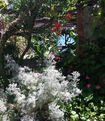 Ergin Karaburun (Izmir)