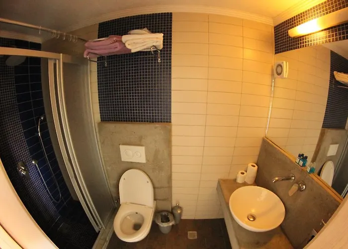 Πανσιόν Ergin