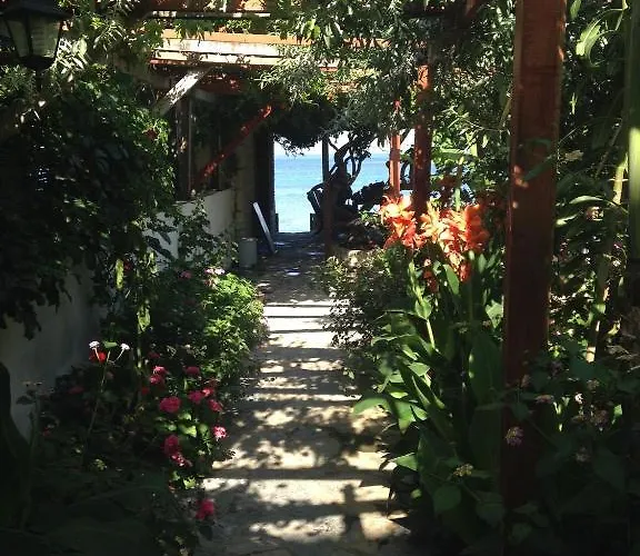 Πανσιόν Ergin