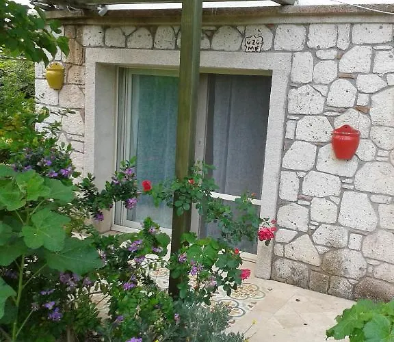 Πανσιόν Ergin