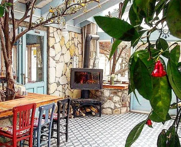 Ergin Πανσιόν *