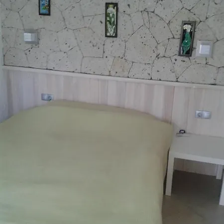 Pensión Ergin *