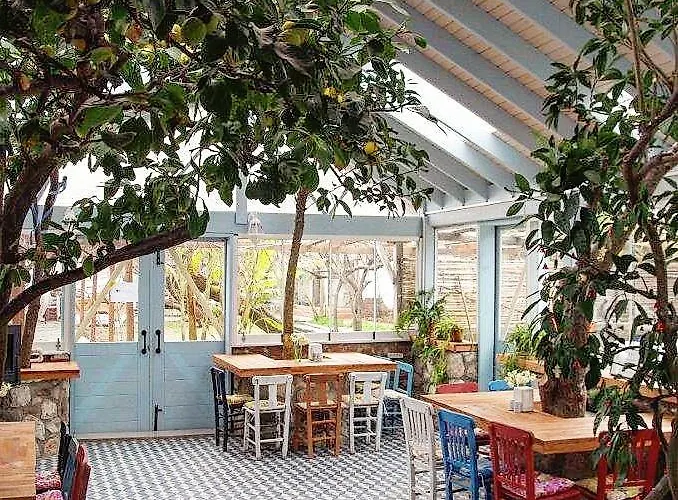 Ergin * Karaburun (Izmir)